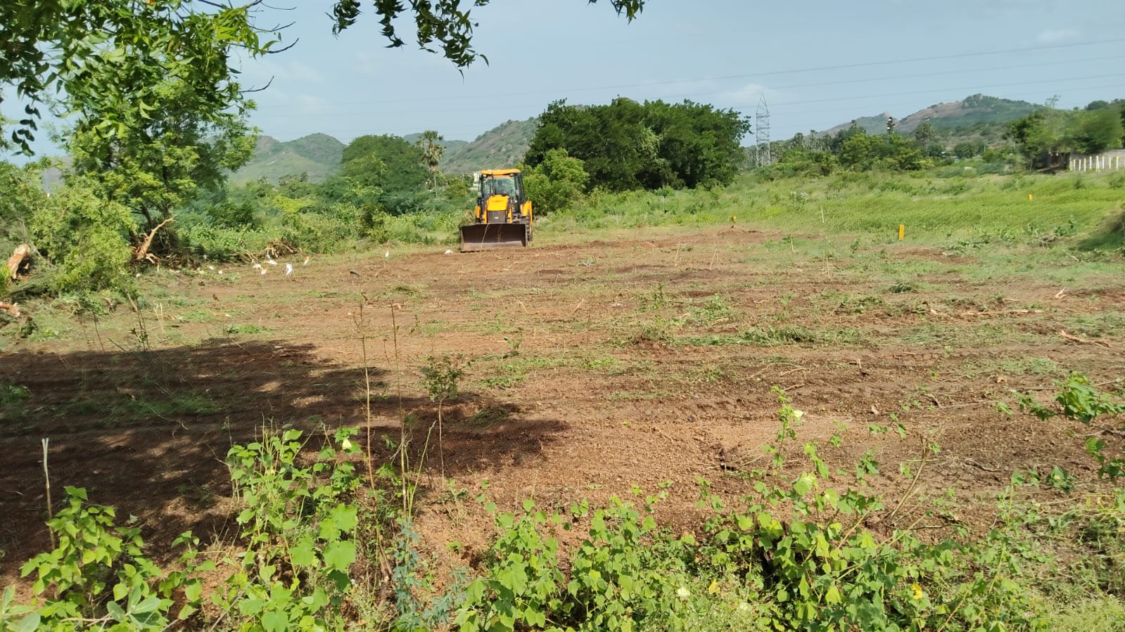 Plot 166 After Cleanup